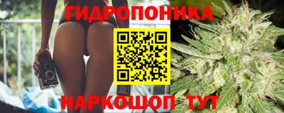 сатива Можга