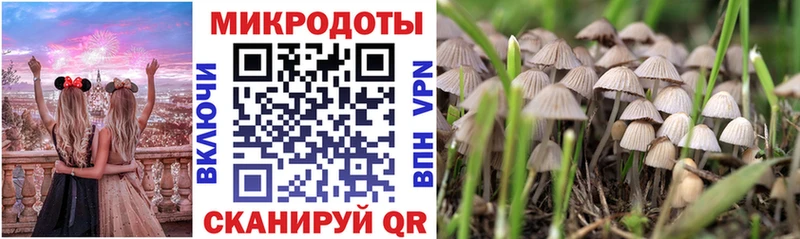 Псилоцибиновые грибы Cubensis  Ишим 